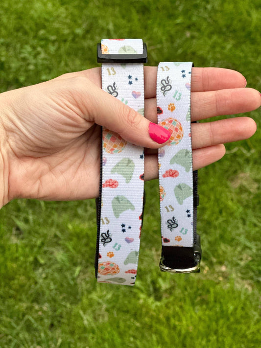Taylor Swift Swiftie Eras Tour Dog Collar Merch